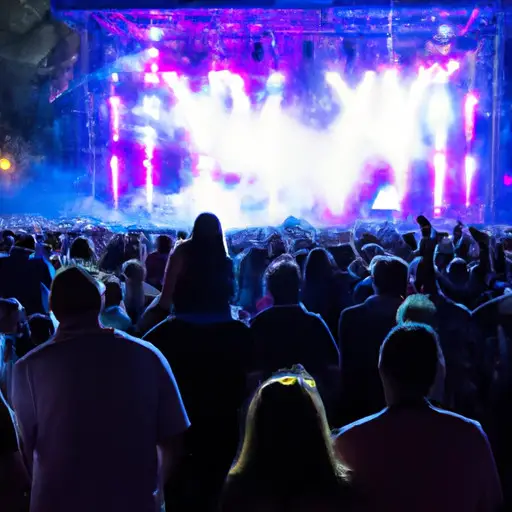 An image capturing the allure of attending a nighttime event or concert