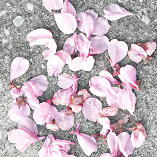 An image showcasing the ephemeral beauty of a cherry blossom tree in full bloom, gently shedding its delicate petals