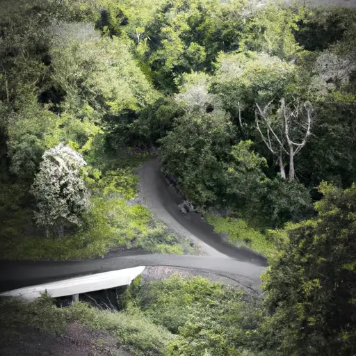 An image that depicts a winding road leading through a dense forest, with occasional obstacles and hurdles