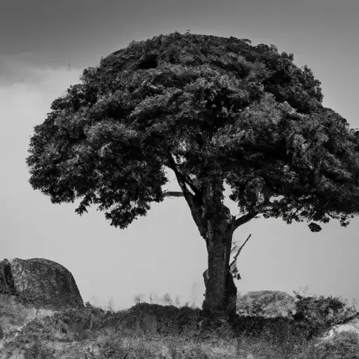 An image that captures the essence of resilience and determination: a solitary tree standing tall amidst a barren landscape, its roots anchored firmly in the ground as it defies the odds and thrives against all adversity