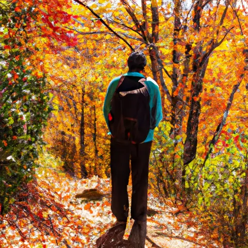 An image featuring a 40-year-old male enjoying a solo hike along a scenic mountain path, with vibrant autumn leaves cascading down around him, evoking a sense of independence, reflection, and embracing life's adventures